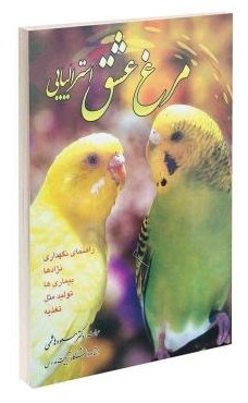 مرغ عشق استرالیایی مسعودهاشمی(فرهنگ جامع)