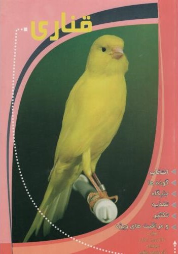 قناری محمد کمالی(فرهنگ جامع)