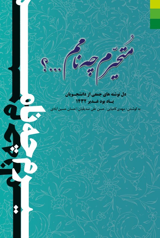 متحیرم چه نامم_(دلیل ما)