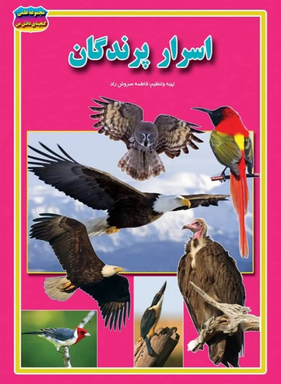 مجموعه علمی گنجینه ی دانش من اسرار پرندگان فاطمه سروش راد(حباب)