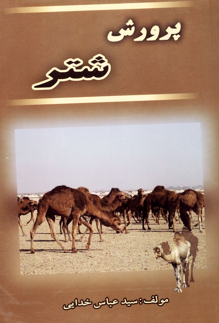 پرورش شتر_عباس خدایی(پرتو وافعه)