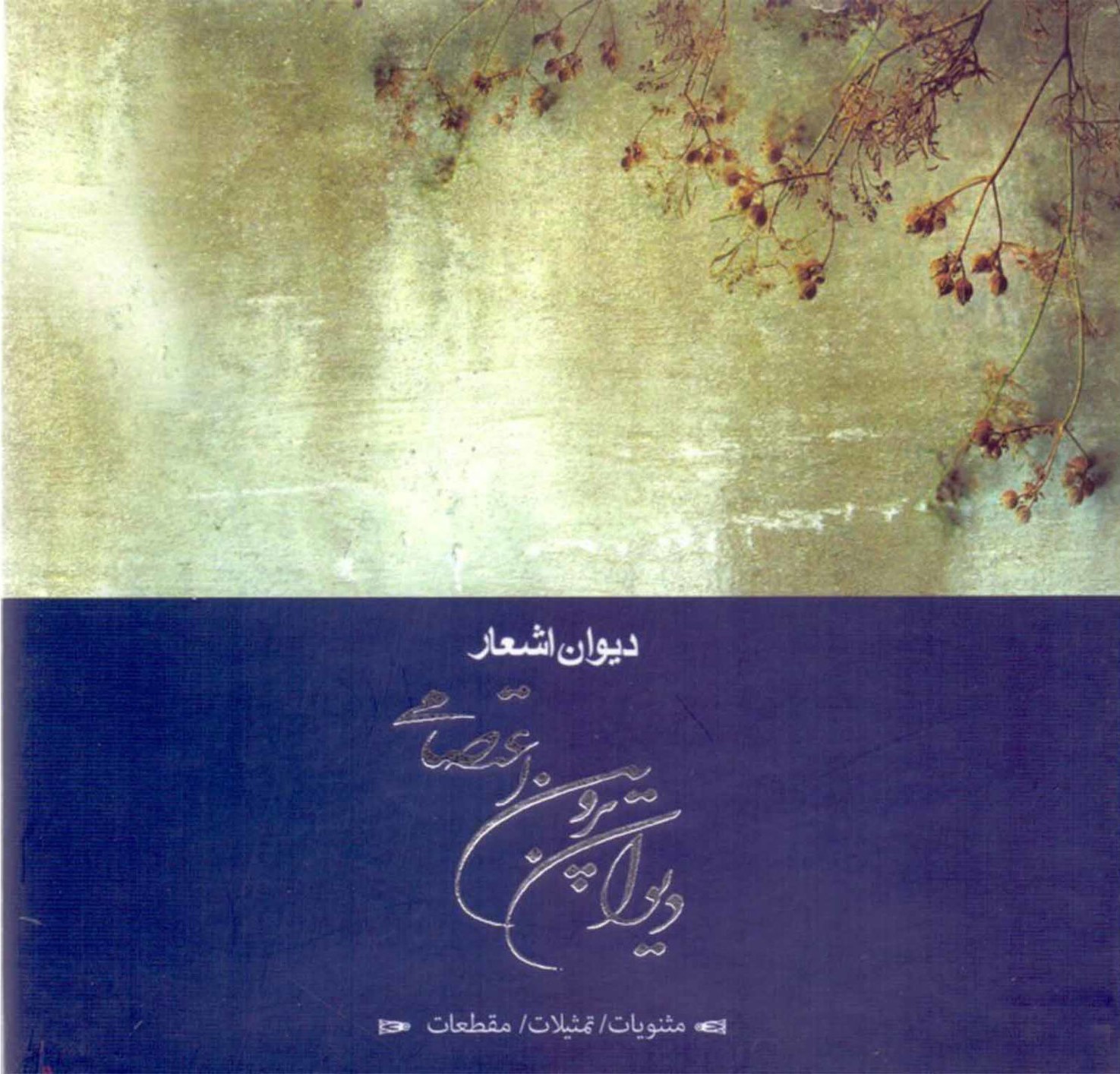 دیوان پروین اعتصامی خشتی(سپاس)