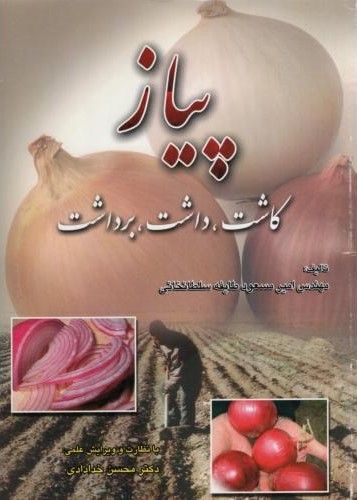 پیاز کاشت داشت برداشت امیرمسعود طایفه(دانش نگار)